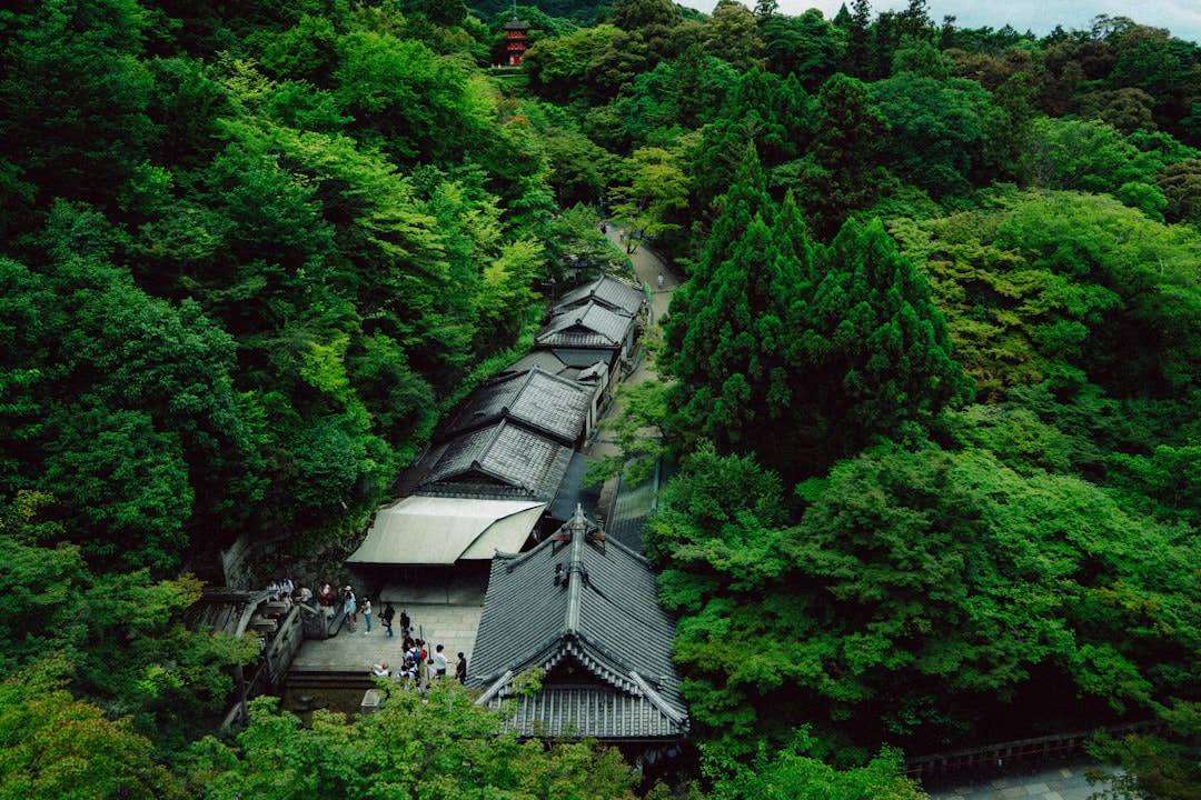 Interior of a wooden ninja farmhouse in Koka with a hidden trapdoor open in the floor