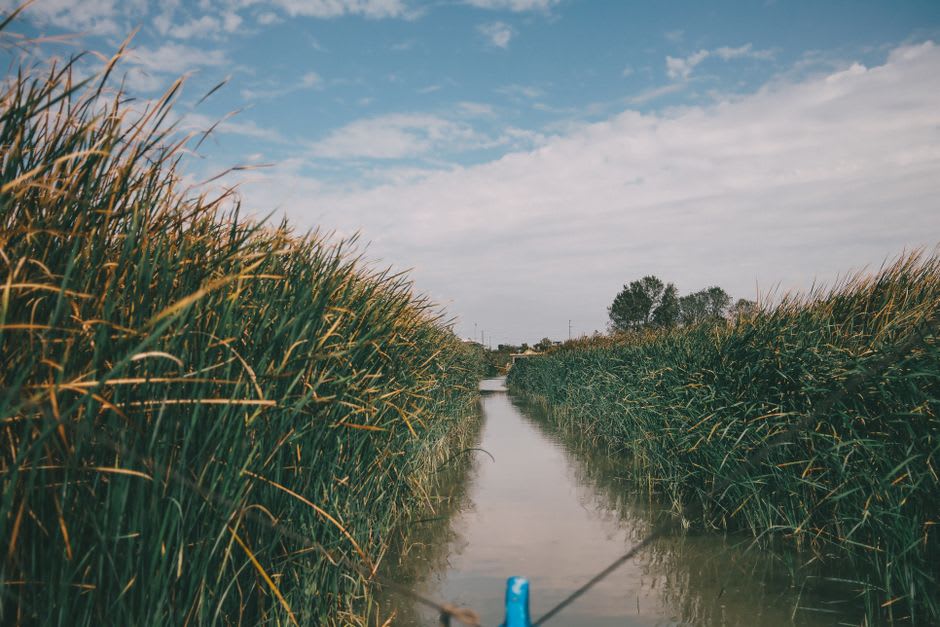A canoe gliding down the glassy, mist-wrapped Kushiro River, tall reeds mirrored perfectly in the still water