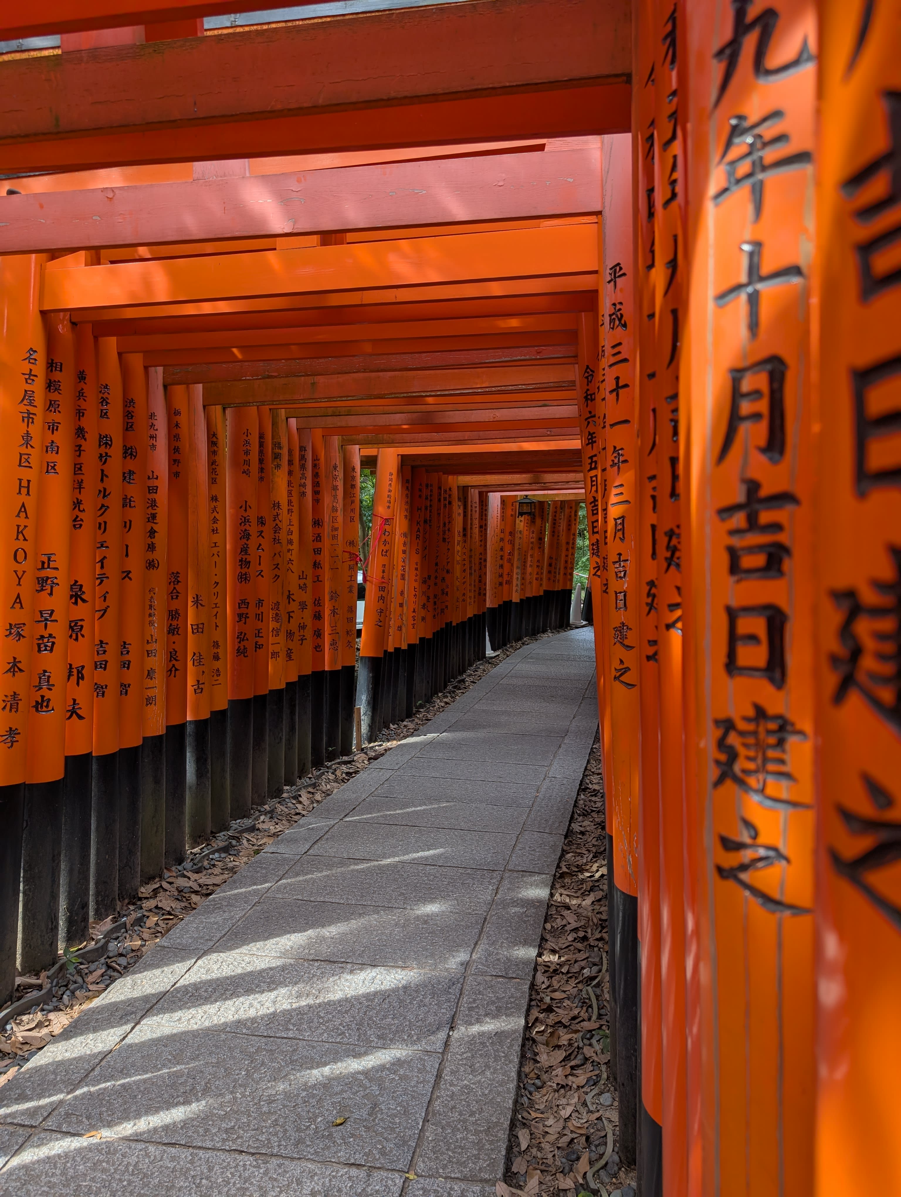 Inside the torii gate tunnel at Fushimi Inari — orange light streaming through the columns, kanji inscriptions catching the sun, the path stretching ahead into the mountain