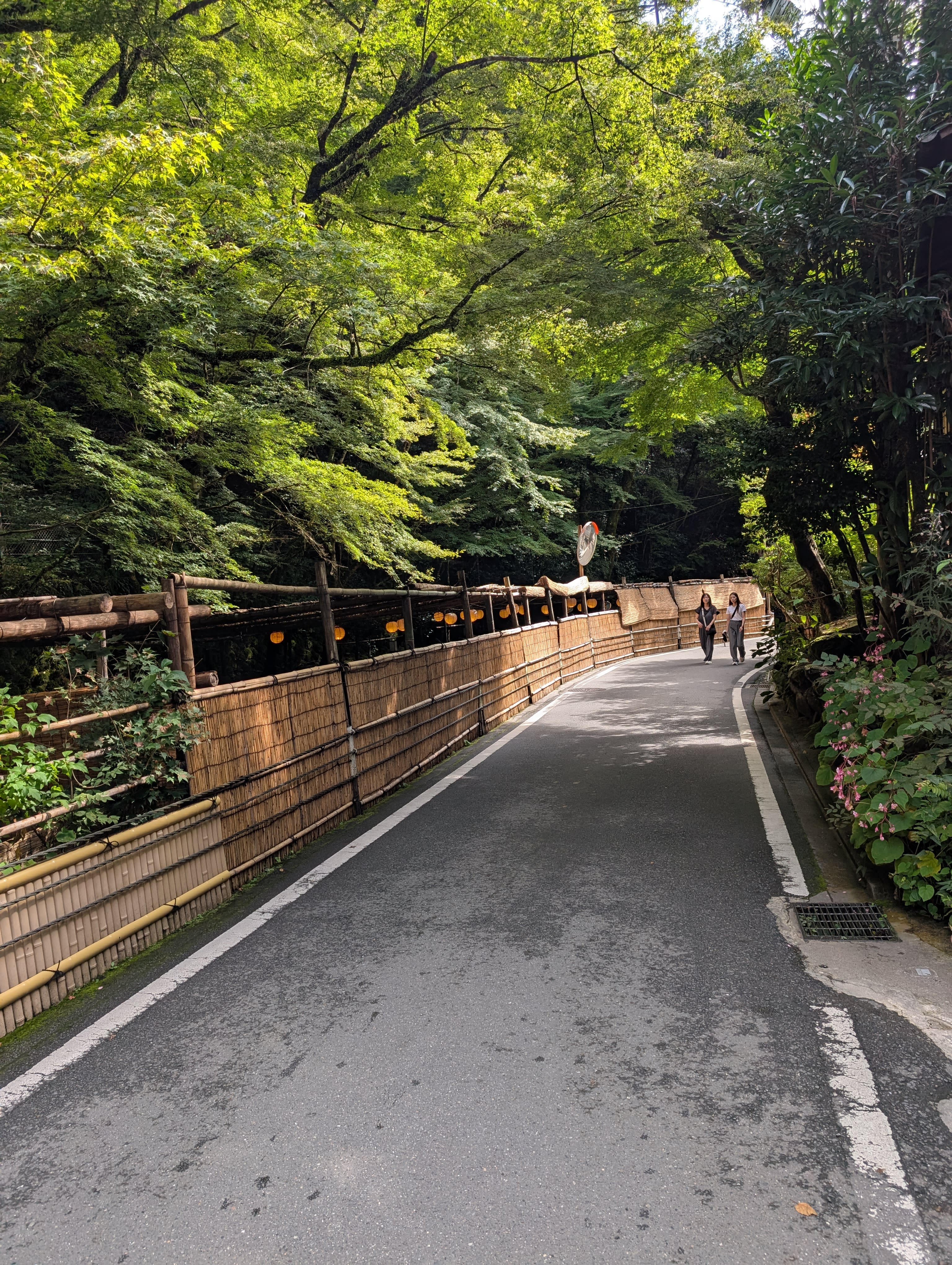 The road from Kibune — green maple canopy overhead, bamboo fences lining the lane, the mountain light filtering through in shades of green and gold