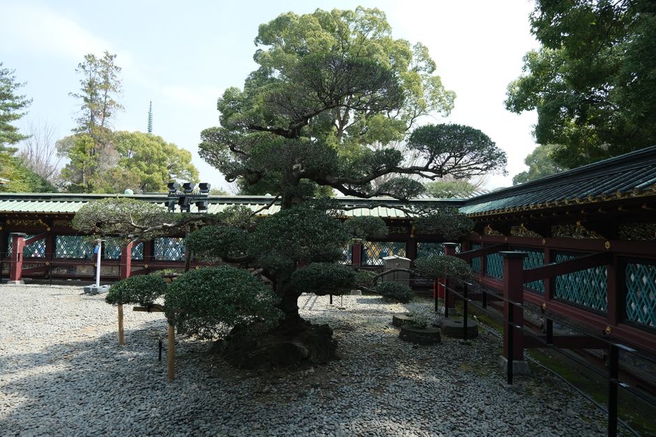 The interior of the Kōbuntei pavilion in Mito, tatami rooms with painted paper screens and a view over the plum garden through open wooden windows