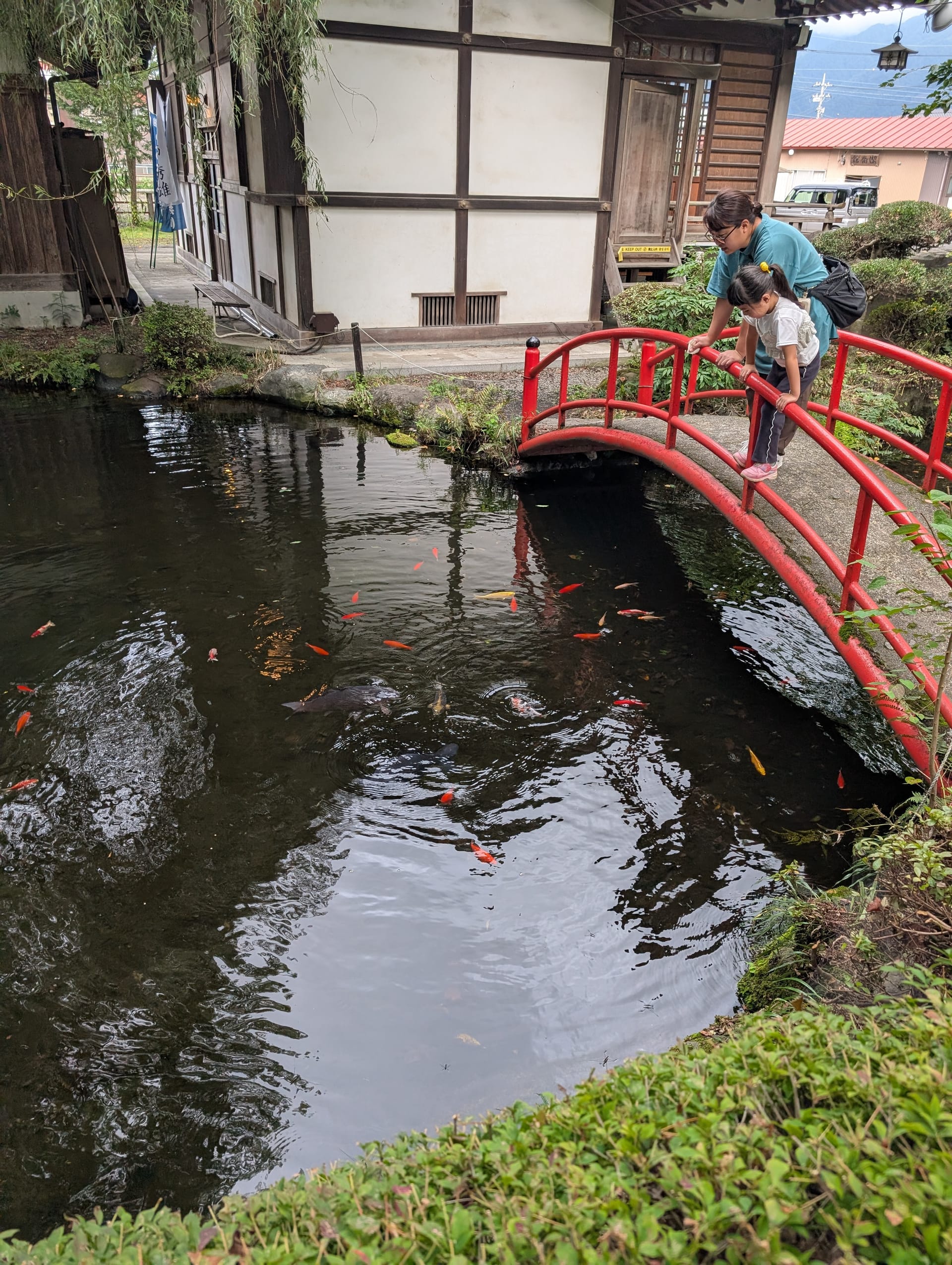 Pierre and Lia leaning over a red arched bridge, watching koi fish in a clear canal beside traditional buildings