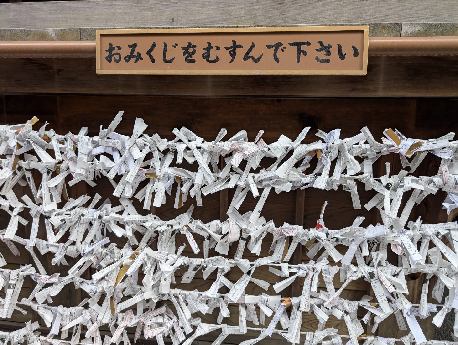 Hundreds of omikuji fortune papers tied to strings at the shrine, white paper knotted in rows