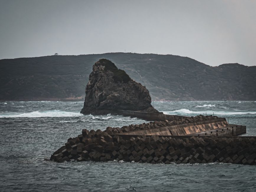 The historic white Muroto Misaki lighthouse rising above subtropical forest