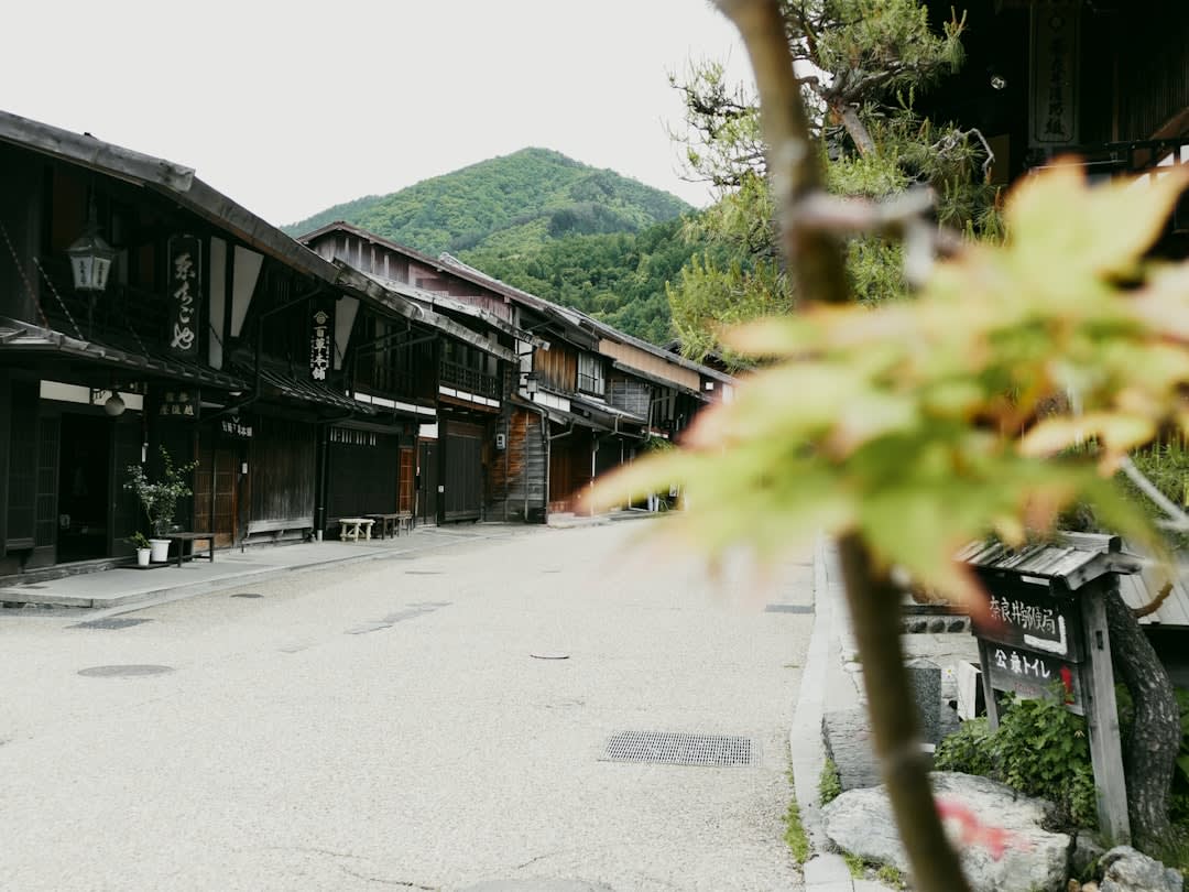 The arched wooden Kiso-no-Ohashi bridge spanning the clear Narai River at the edge of town, forested slopes rising behind it