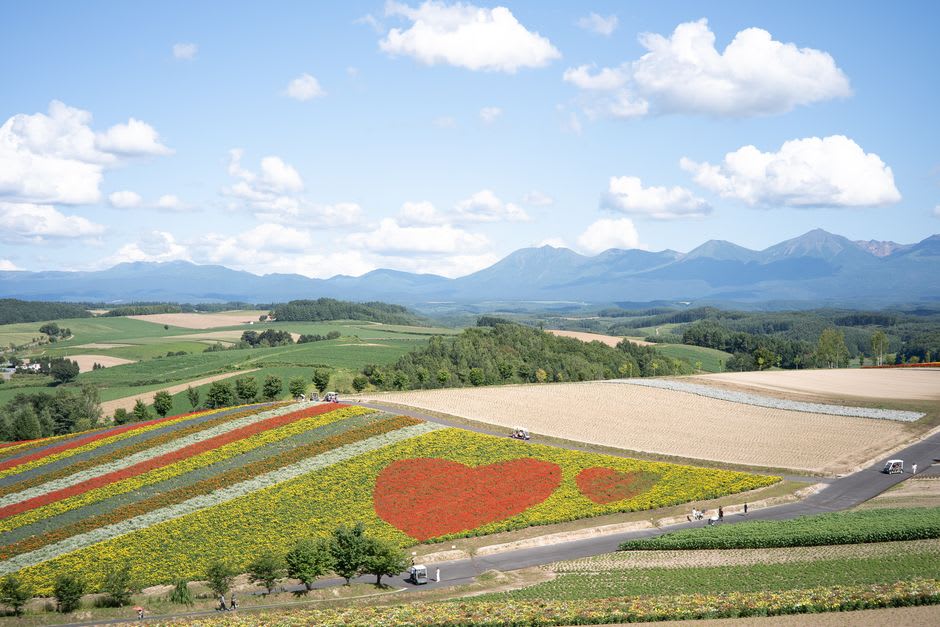 Late-afternoon light over a landscaped garden near Obihiro, conifers and flowerbeds giving way to the flat Tokachi farmland and distant hills