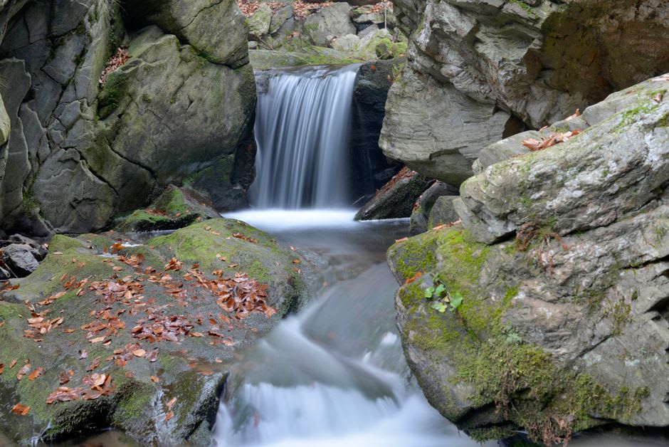 The soft dirt trail running alongside the moss-covered rocks and rushing water of Oirase Gorge