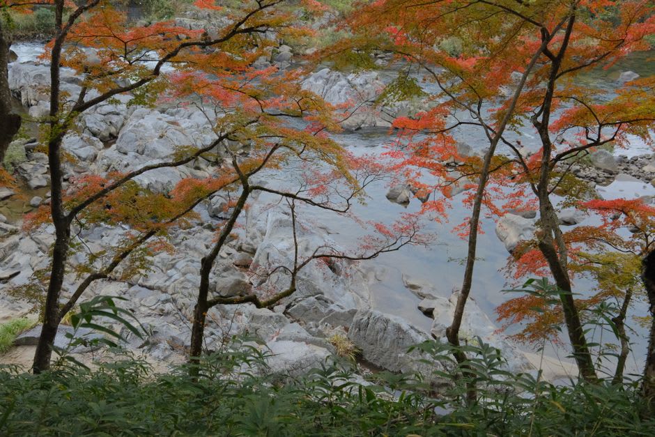 The wide curtain of Choshi-Otaki waterfall thundering across the main stream of Oirase Gorge