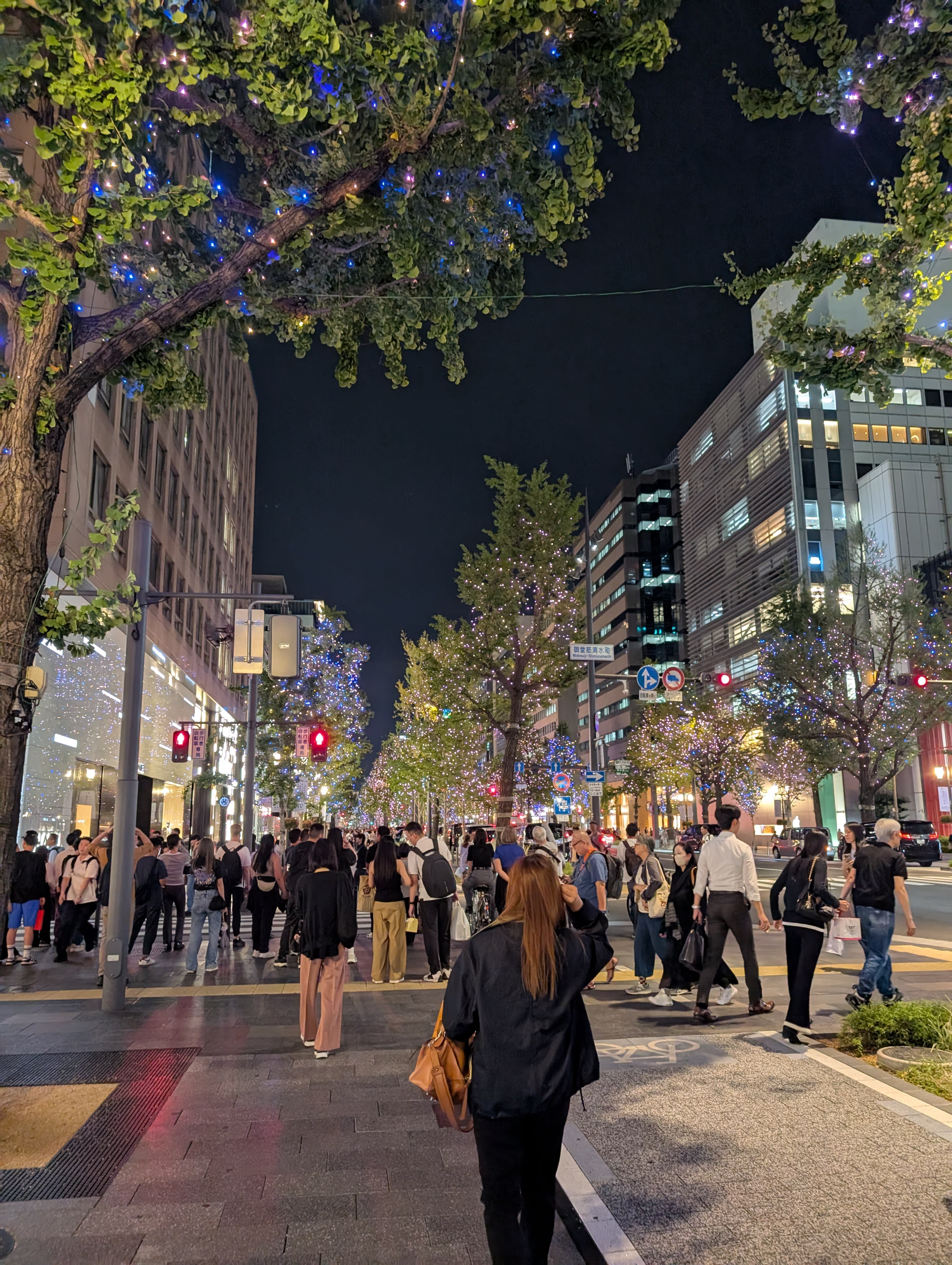 A Namba boulevard at night — trees strung with blue lights, crowds crossing the intersection, buildings glowing on both sides