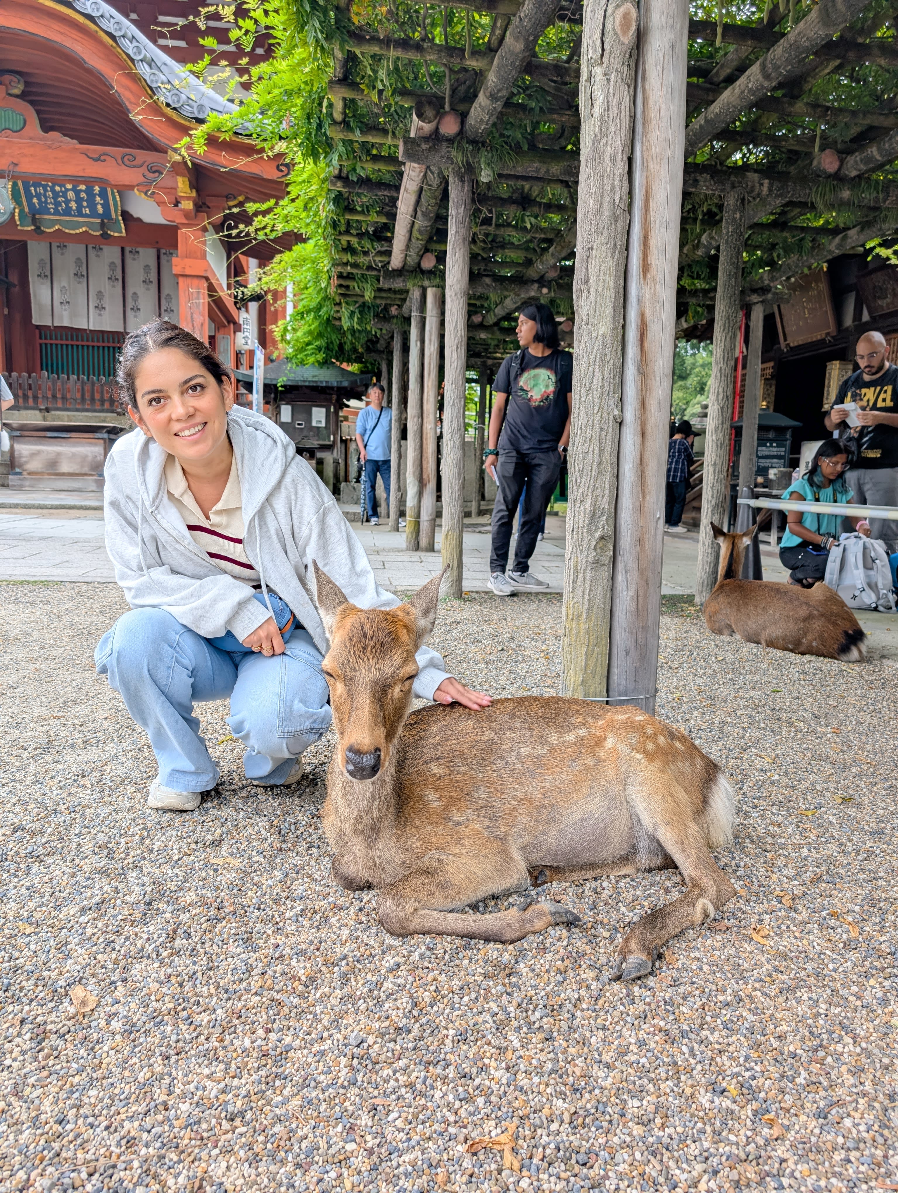 Lia crouching next to a Nara deer at Kasuga Taisha — the deer perfectly still, temple buildings and wooden pillars behind them