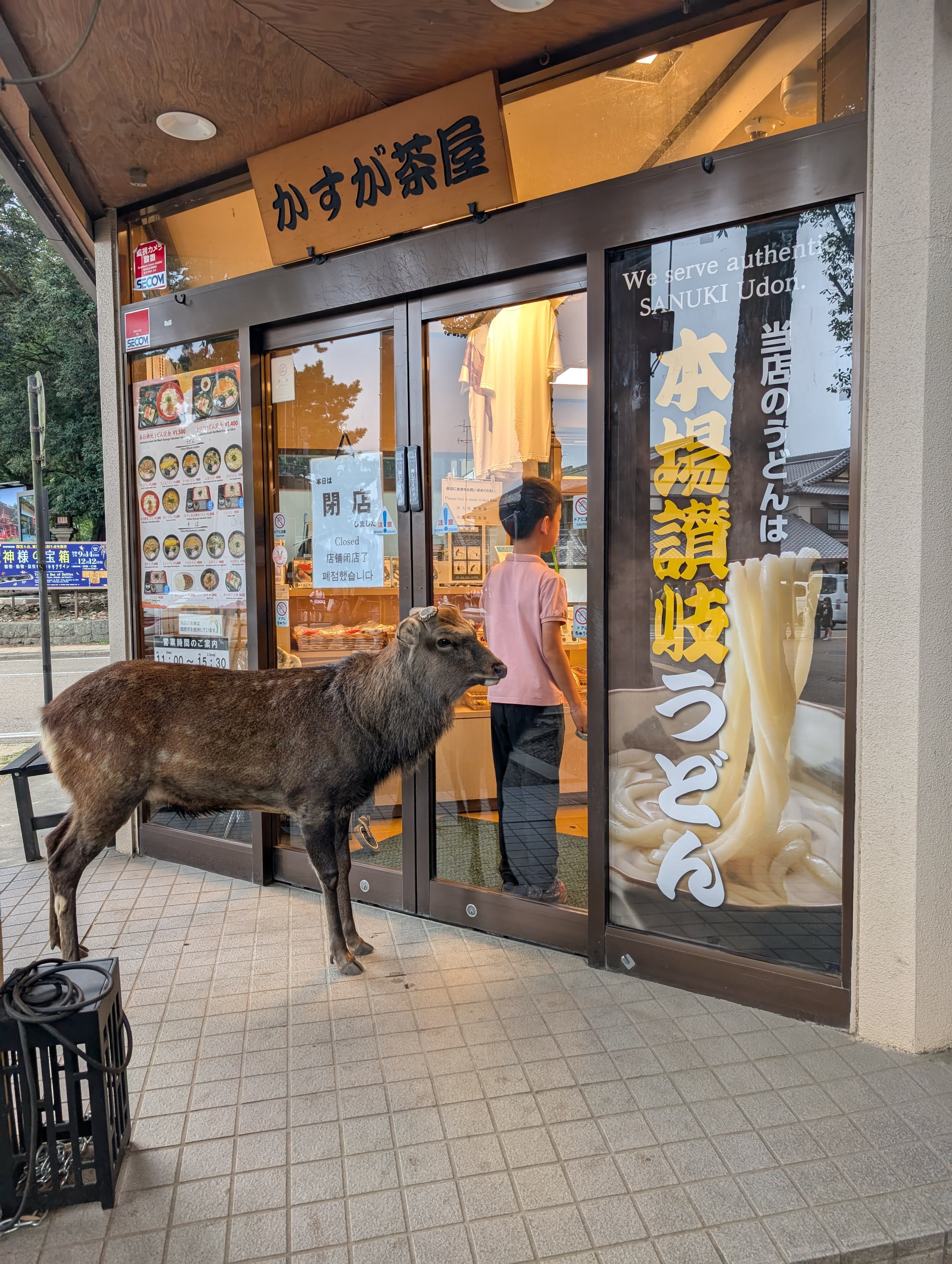 A deer standing at the entrance of an udon restaurant in Nara — studying the menu on the door with apparent seriousness, a customer walking past obliviously