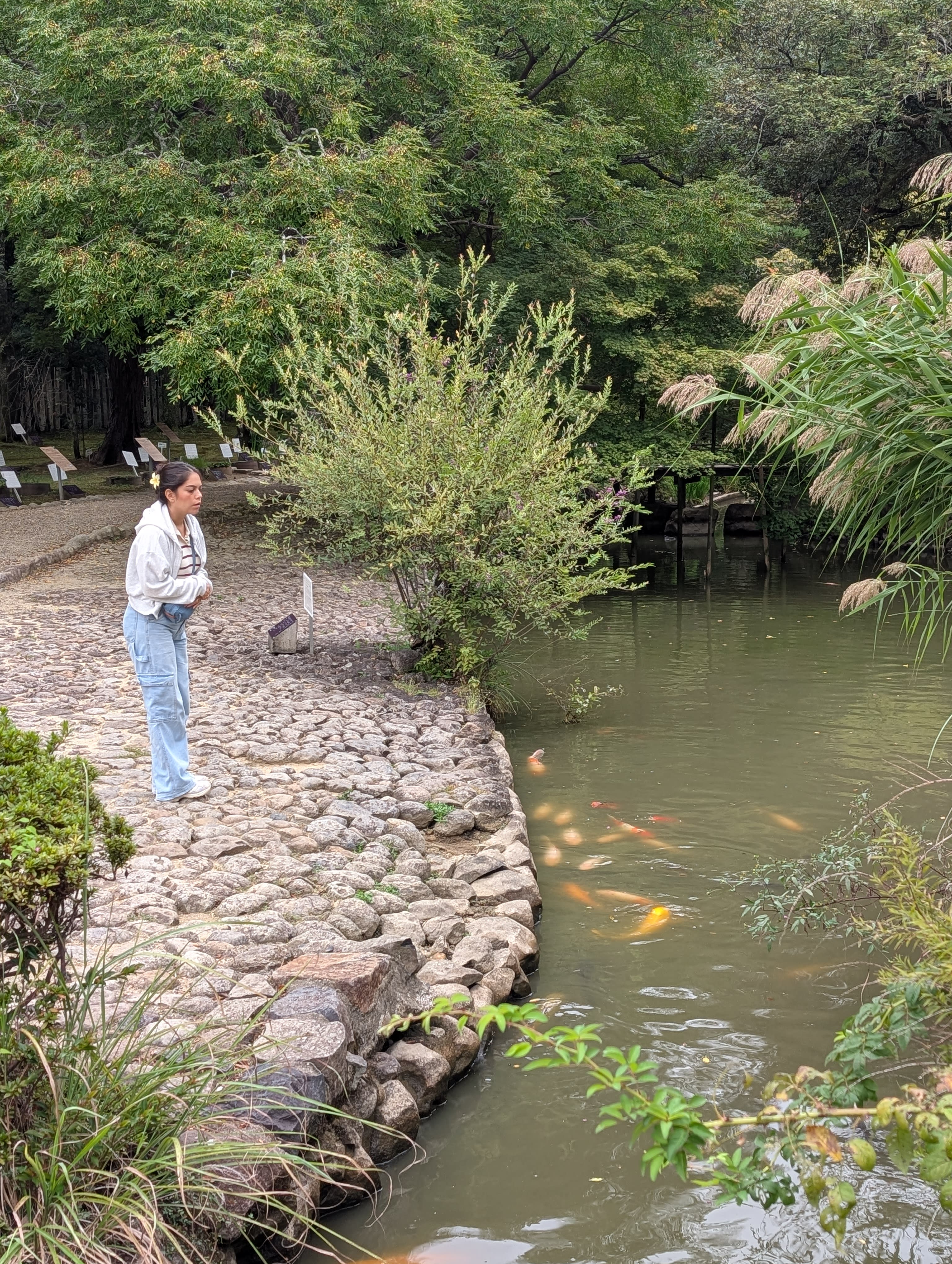 Lia at Isui-en Garden in Nara — standing by the koi pond, orange fish visible below the surface, green trees reflecting in the still water
