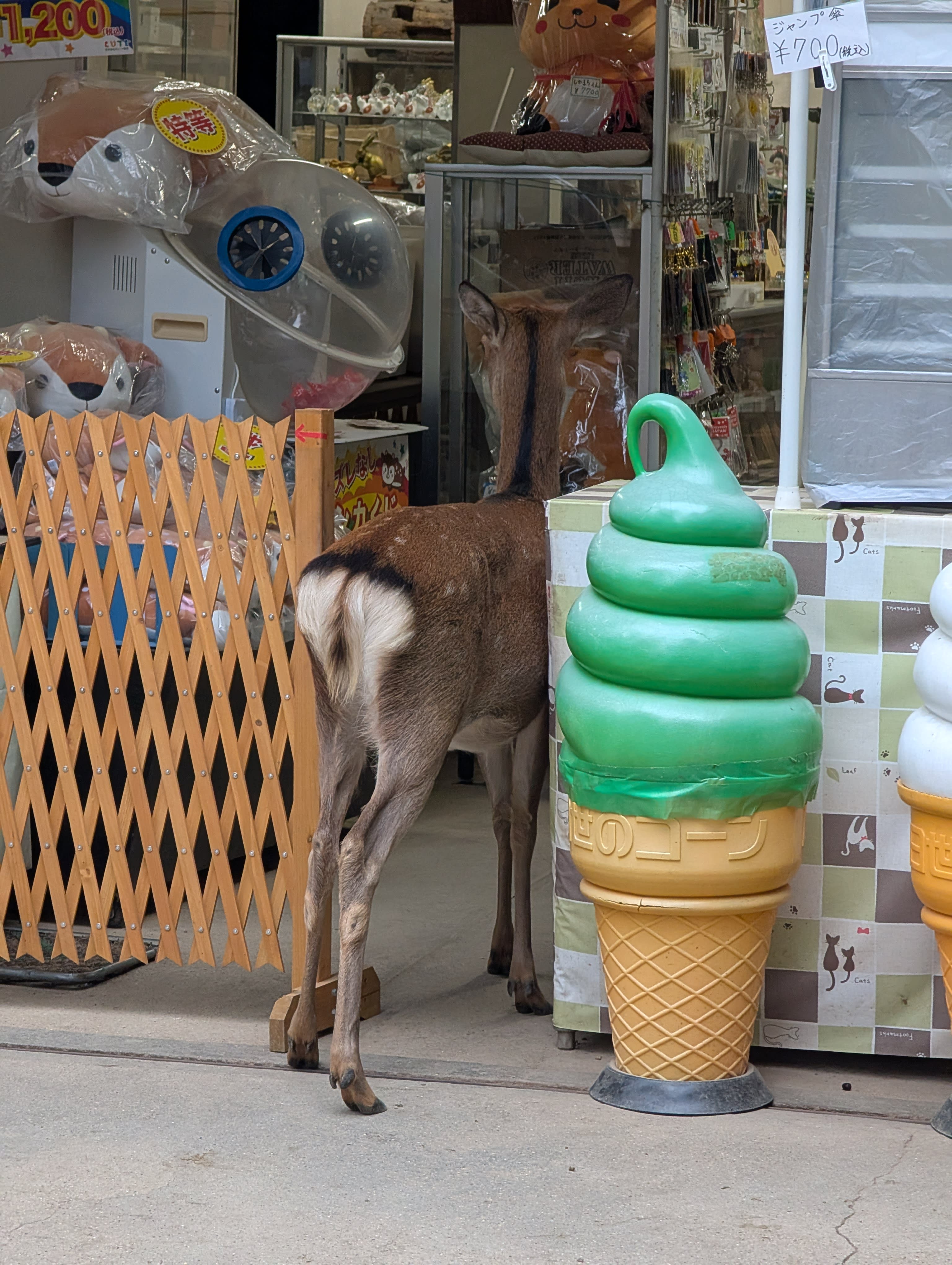 A deer browsing a Nara ice cream shop — its head near the entrance, drawn by the giant matcha soft-serve cone display, browsing with zero self-consciousness