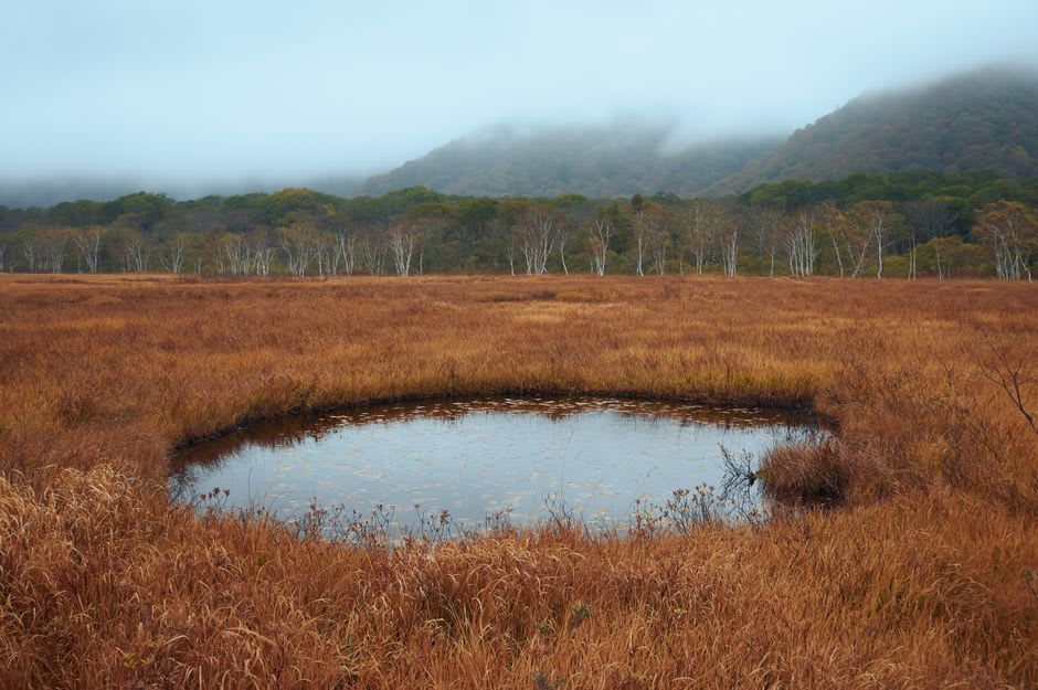 Twin wooden planks of boardwalk stretching straight across the green Ozegahara marsh toward distant peaks