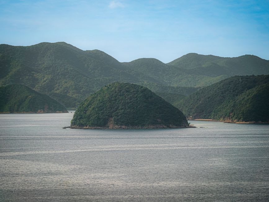 The green terraced rice paddies of Iwakubi Shōryū stepping down a Sado hillside toward the blue Sea of Japan, curving field edges catching the light
