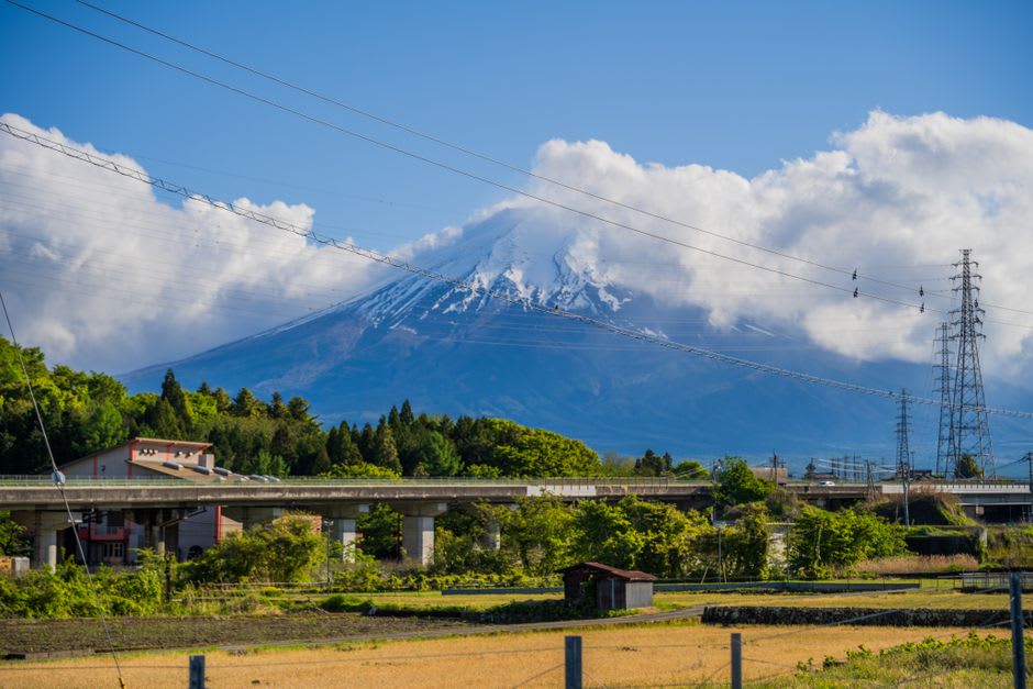 The pine grove of Miho-no-Matsubara near Shizuoka, ancient gnarled pines along a black-sand shore with snow-capped Mount Fuji rising across Suruga Bay