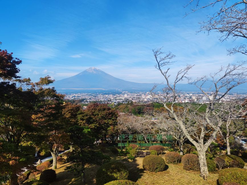 Terraced rows of glossy green tea bushes climbing the hills above Shizuoka, with a distant view down to Suruga Bay and the coast