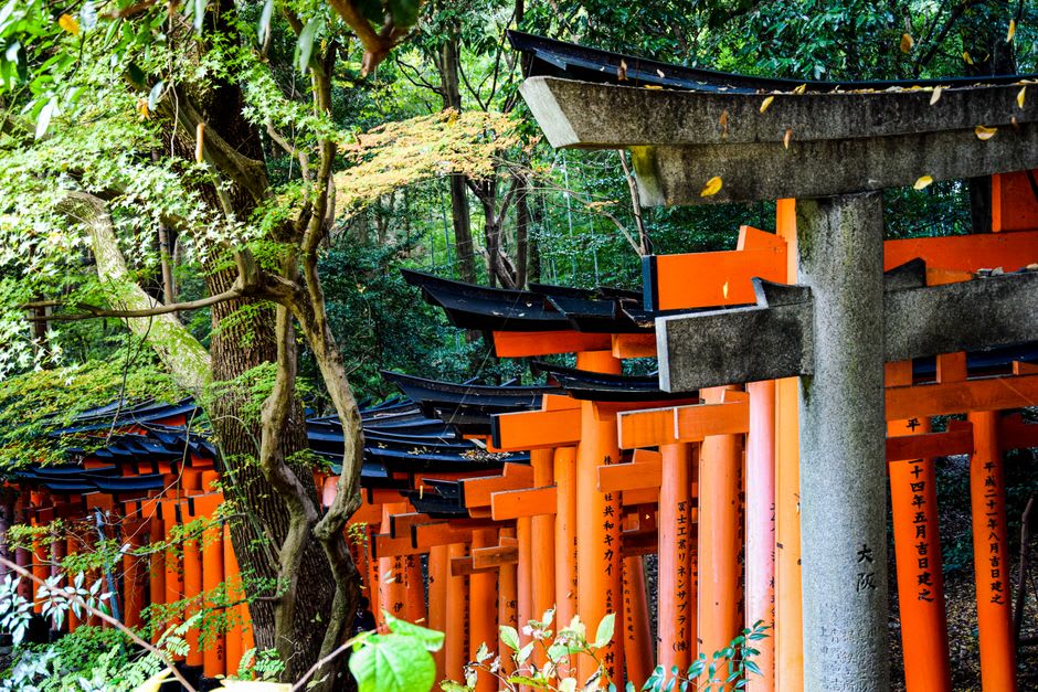 Masked kagura dancers performing a sacred night dance by lantern light inside the wooden hall of Takachiho shrine