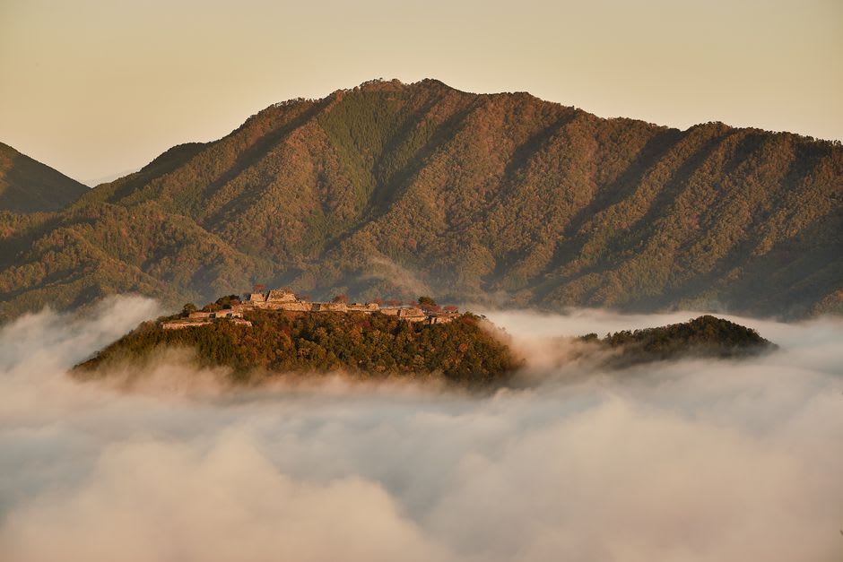 The grass-topped stone ramparts of Takeda Castle floating above a golden sea of cloud at sunrise