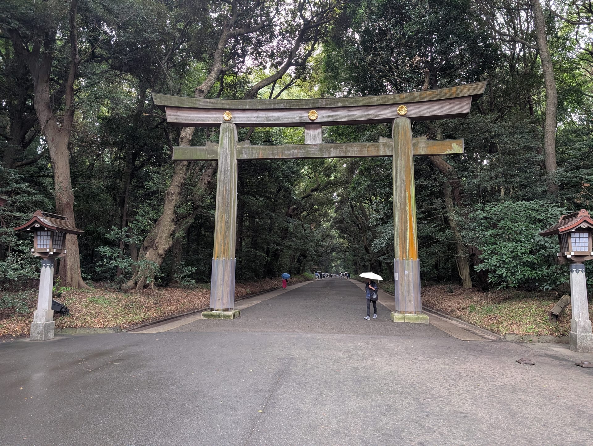 The enormous wooden torii gate at Meiji Jingu — towering above the gravel path, flanked by ancient trees, a lone figure with an umbrella passing through