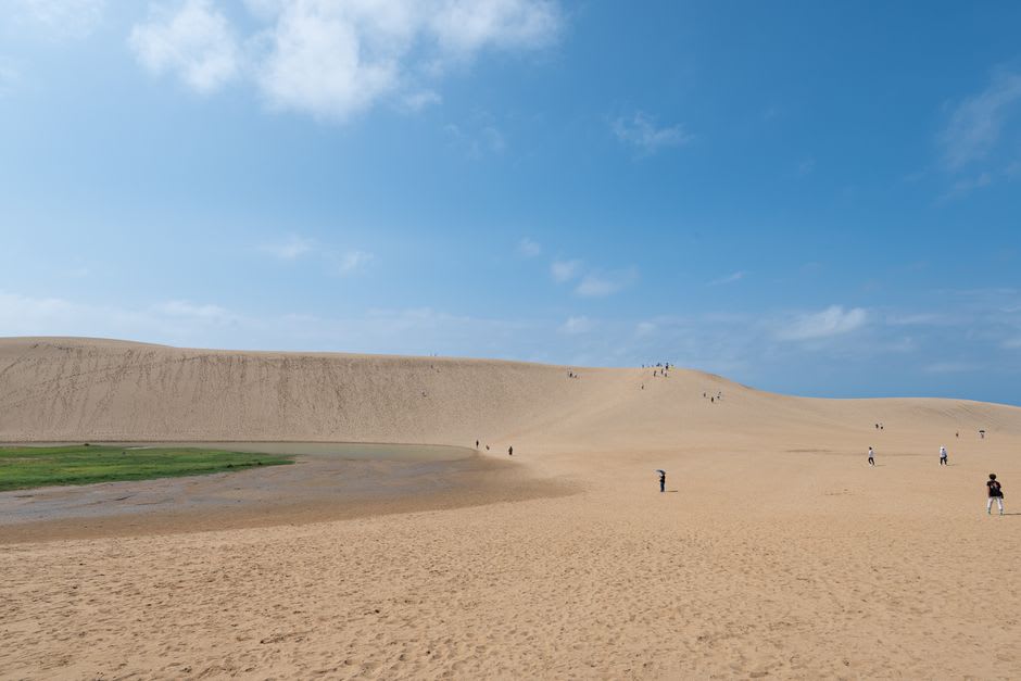 An enormous, intricately carved sand sculpture of figures and architecture inside the Tottori Sand Museum, dwarfing visitors below