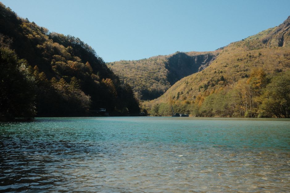 The forested rim of Lake Towada glowing gold at dusk in autumn