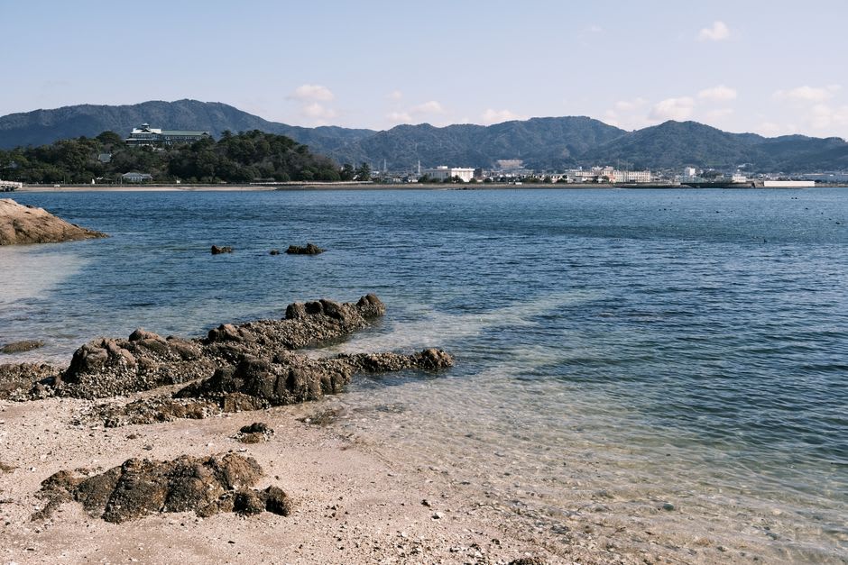 Rows of dark pearl-farm rafts floating on the calm water of Uwajima Bay