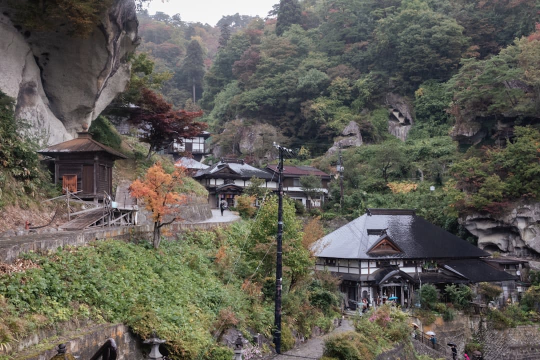 Steam rising off a milky-blue open-air sulfur bath at Zaō, snow banked high around the wooden pool and pines heavy with snow beyond