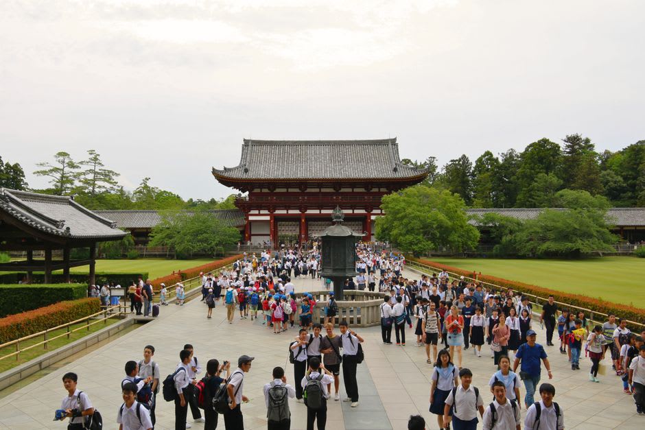 The dim wooden exterior of the Mie-dō hall at Zentsū-ji surrounded by old pines
