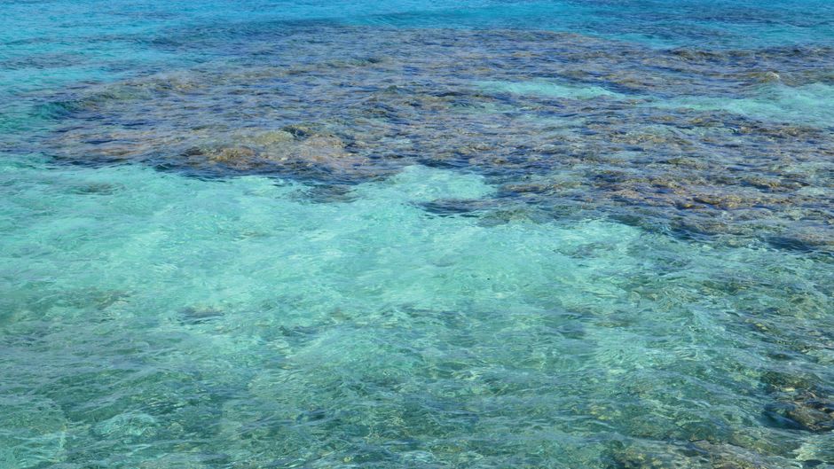 Fringing coral reef and clear turquoise shallows off the Ujung Kulon peninsula coastline