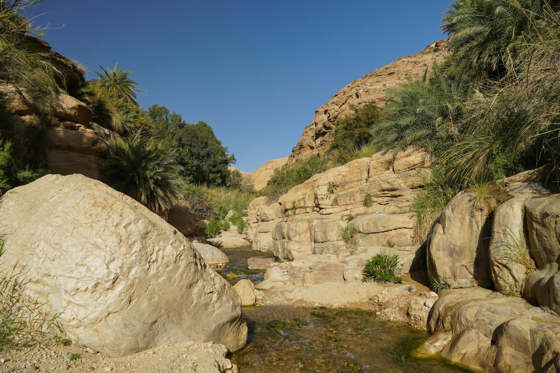 Dramatic canyon landscape with layered sandstone formations in Dana Reserve