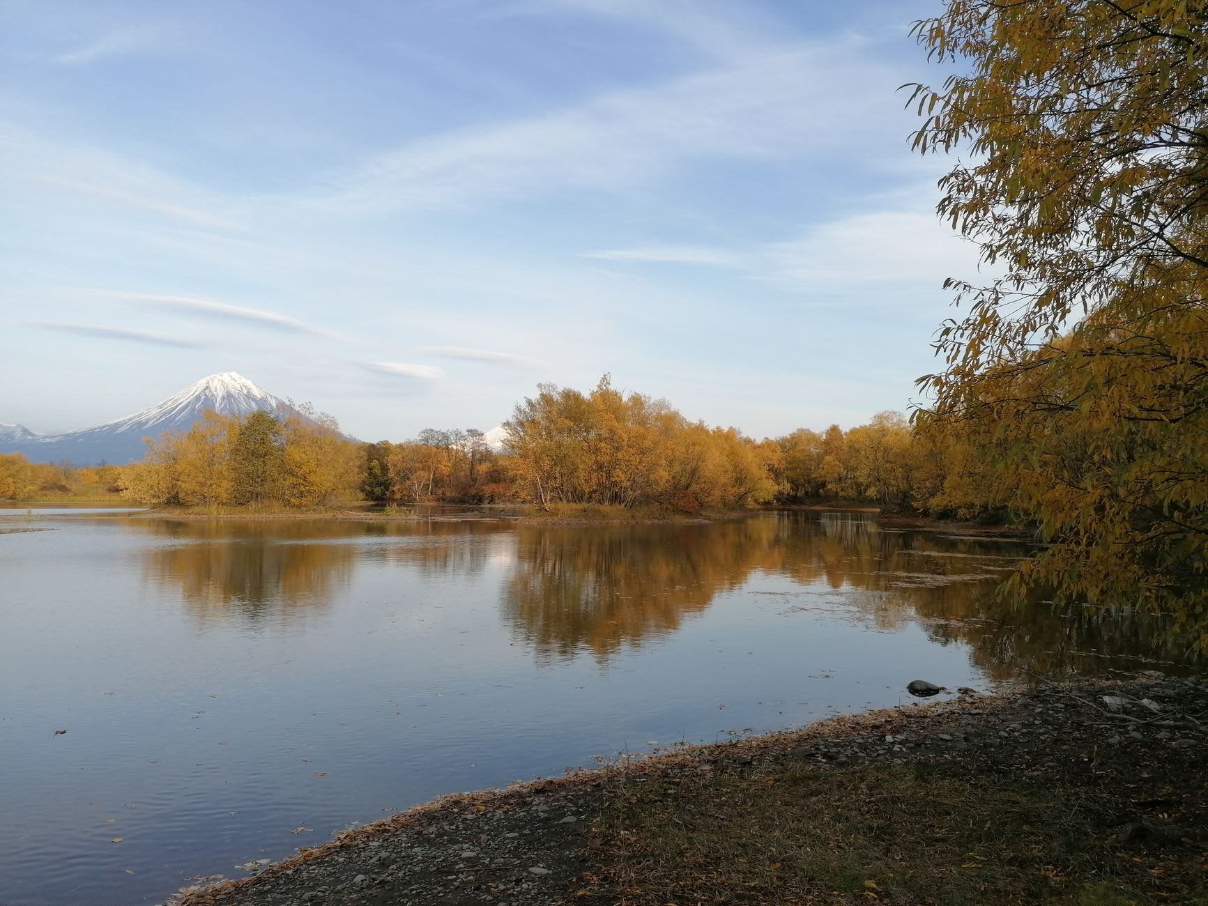 Sockeye salmon in their spawning colors — deep red bodies, green heads — packed into the crystal-clear shallows of Kurilskoye Lake