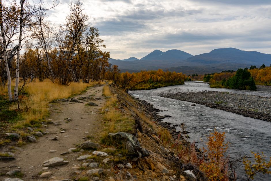 Un sendero de pastores siguiendo el río Veshaw río arriba desde Aharbal a través de un bosque de abedules