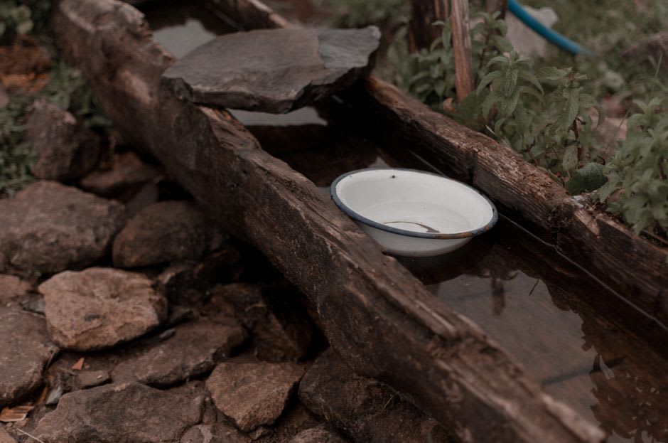 Un canal de piedra llevando agua de manantial junto a nogales en el jardín de Kokernag