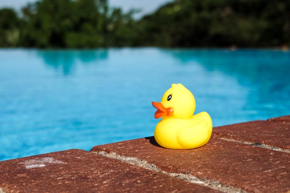Patos nadando en la alberca principal de manantial en Kokernag con céspedes escalonados detrás