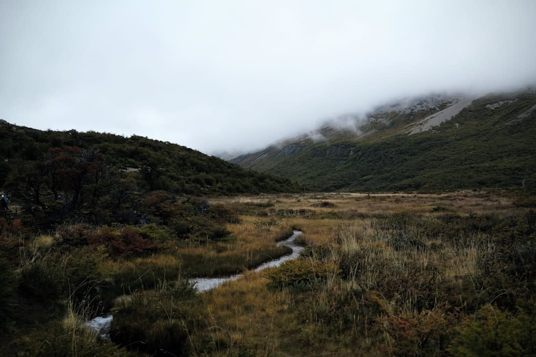 A clear mountain stream running through green meadows in the forested Lolab Valley near Kupwara