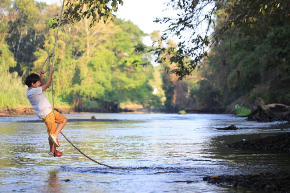 Travelers swinging from a rope tied to a fig tree above the springs
