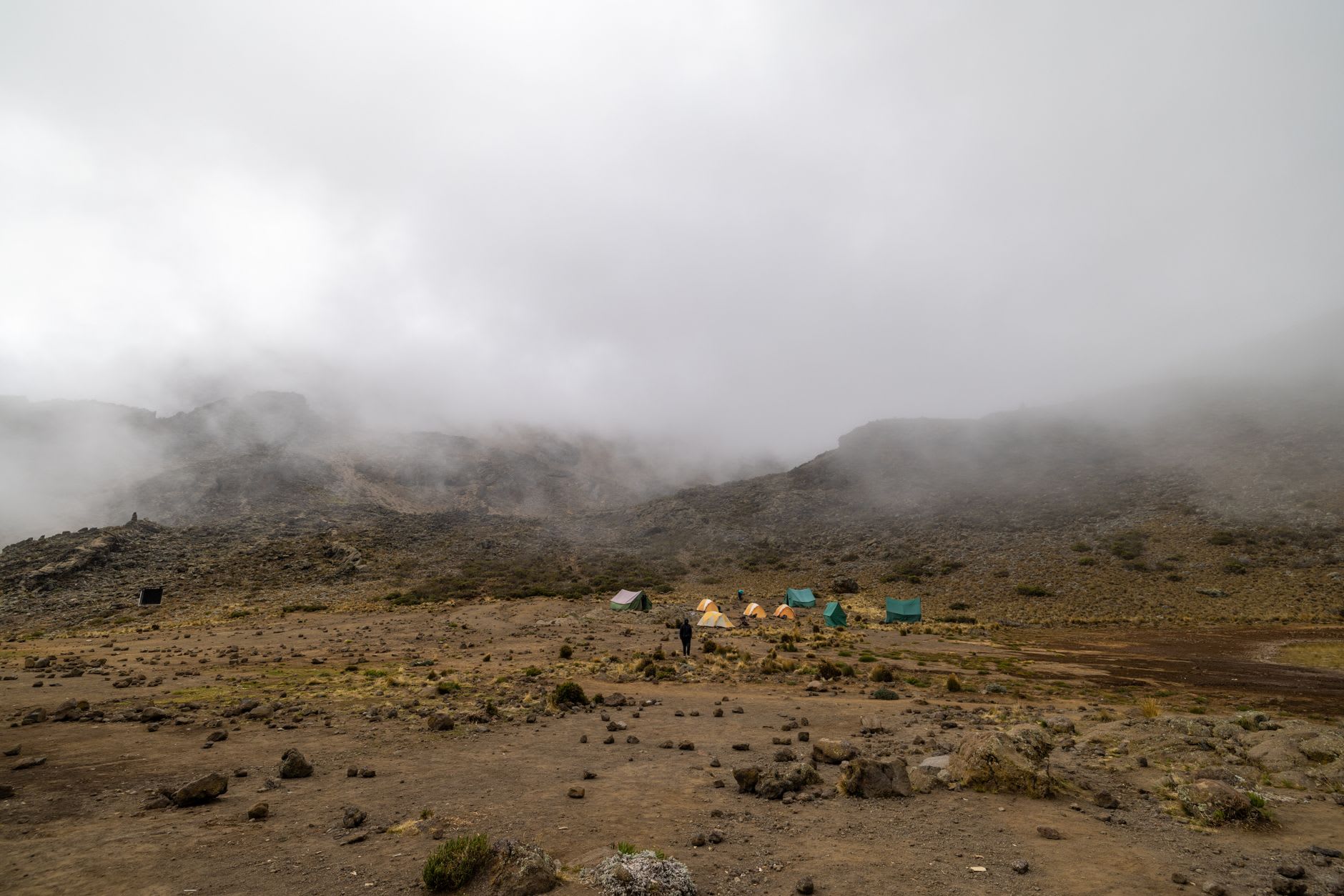 Porters moving efficiently through Machame's bamboo zone at first light, metal boxes balanced on their heads, the forest closing over the trail behind them