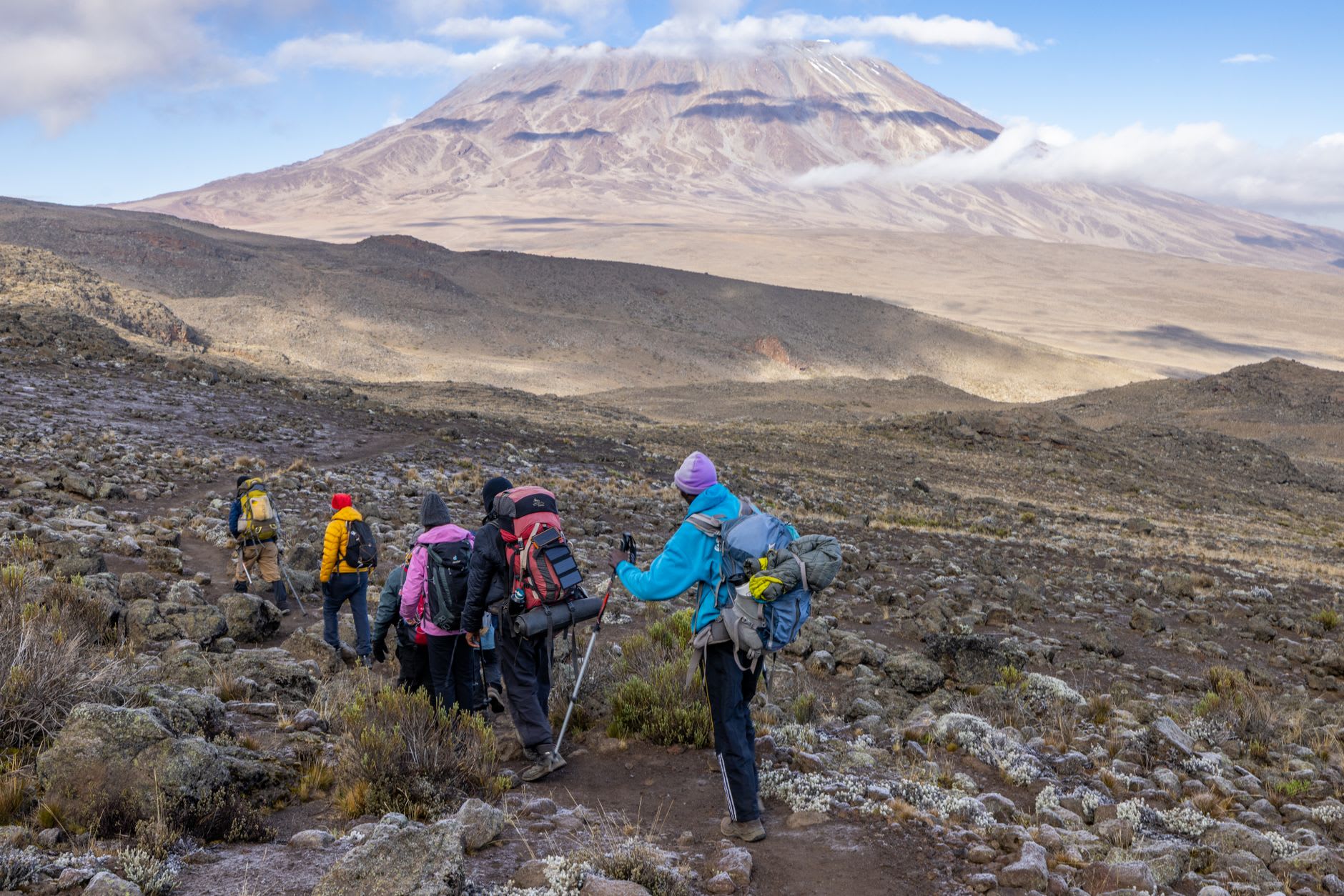 Pastores de ganado maasai moviéndose por la sabana de acacia seca en la aproximación norte del Kilimanjaro, la base de la montaña envuelta en nubes visible adelante