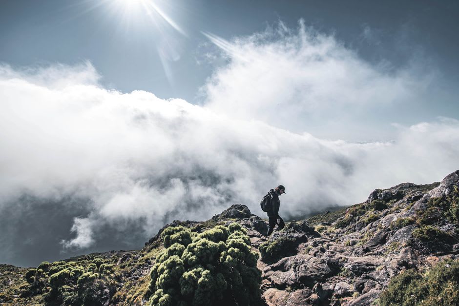 Hikers climbing a narrow forested ridge trail on Kilimanjaro's Umbwe Route