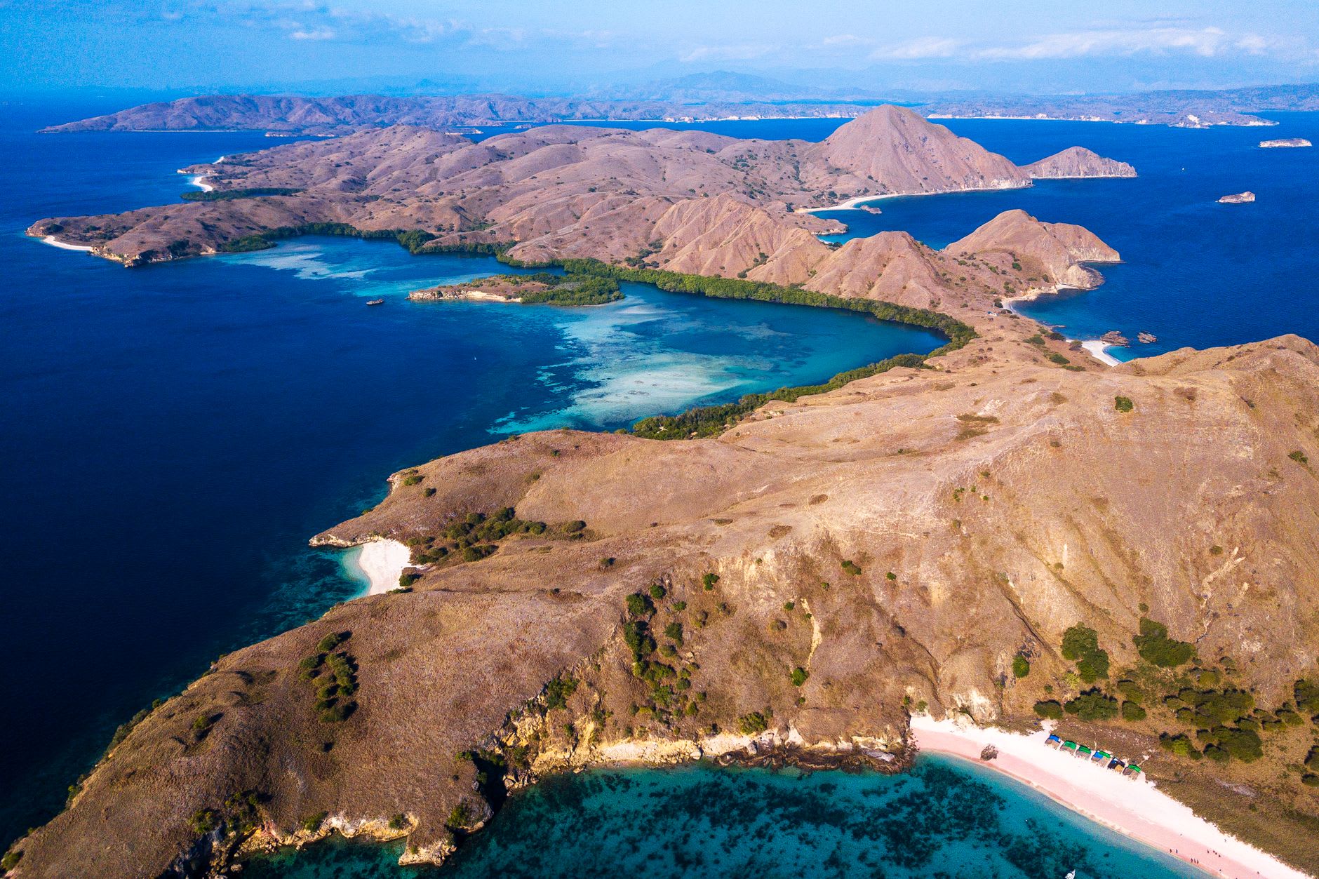A reef manta ray gliding through deep blue water near Taka Makassar, its wide pectoral fins outstretched above a coral reef in Komodo National Park