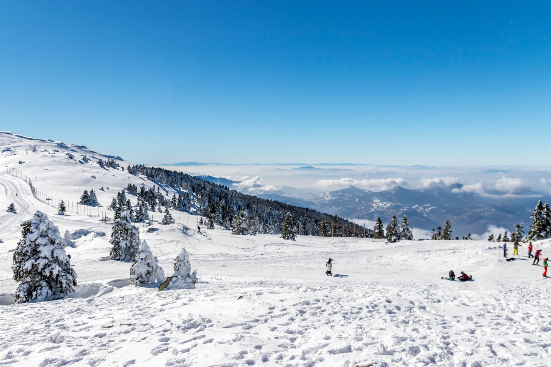 A skier carving turns on the fresh powder slopes of Brezovica against a clear Sharr Mountain sky