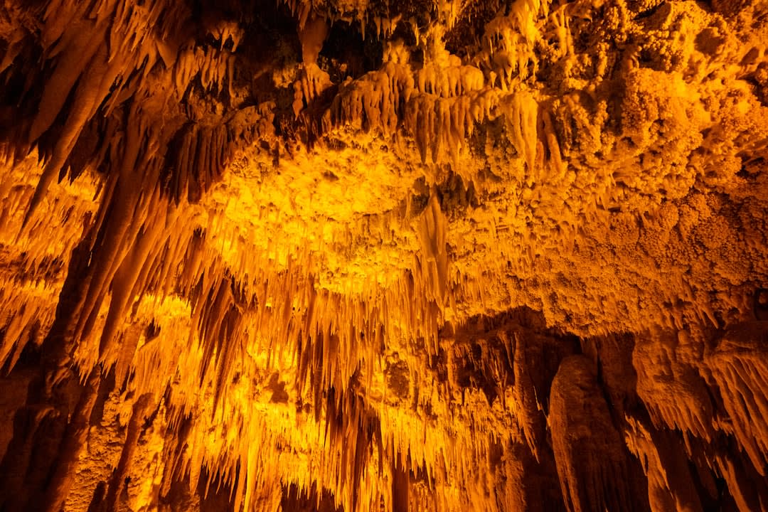 Close-up of delicate helictite formations twisting along the cave wall in Gadime