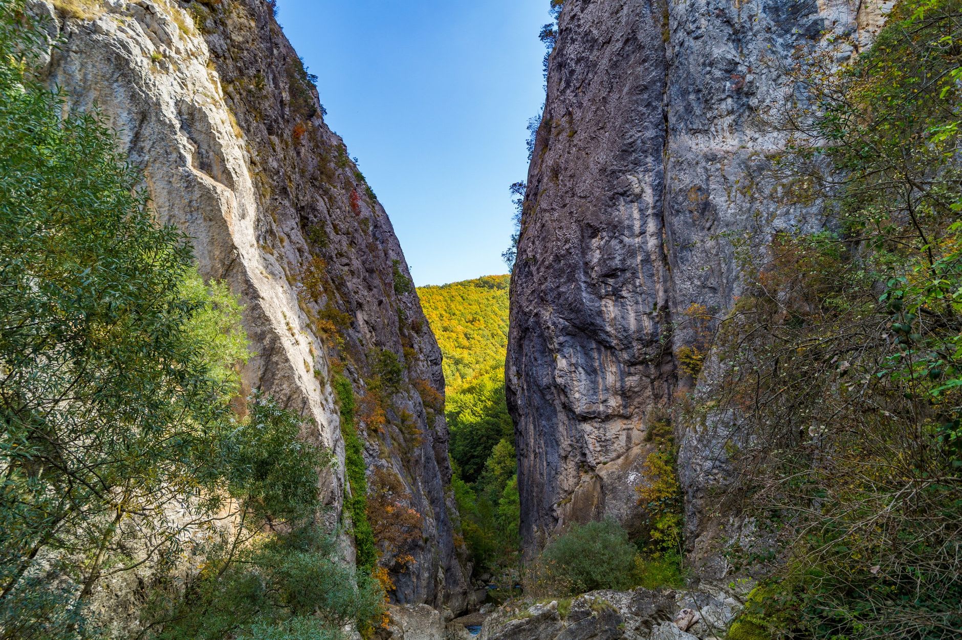 The turquoise Lumbardhi river threading through the canyon floor with pine forest climbing the slopes above