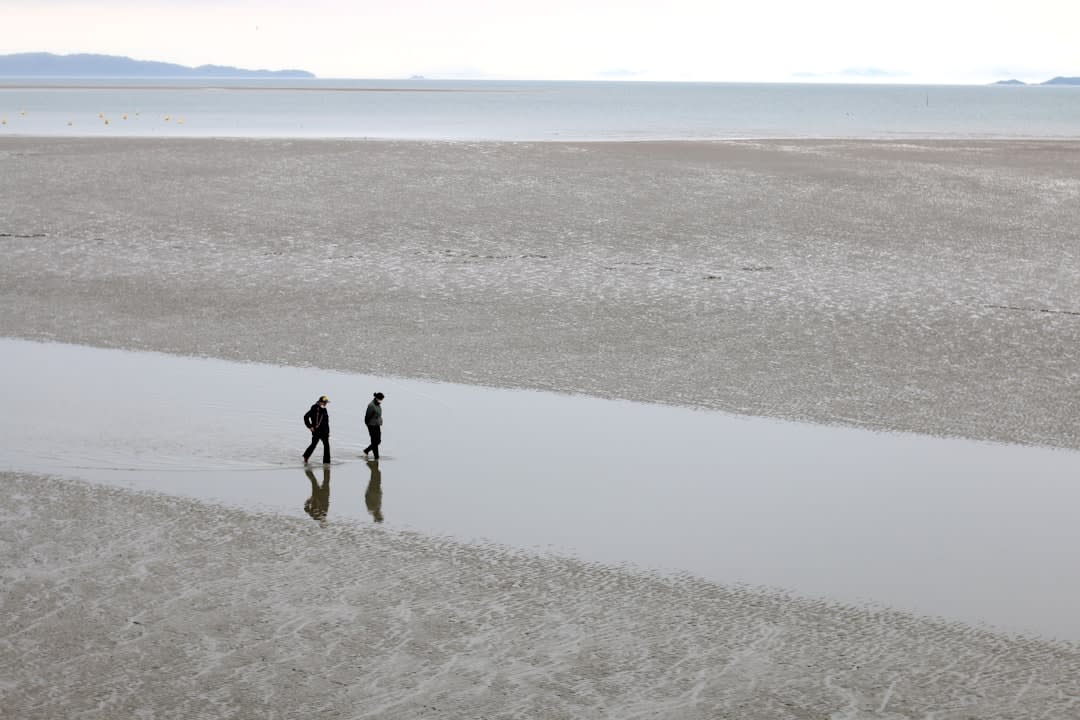 Flocks of waders and waterfowl gathered along the tidal mudflats of Bubiyan Island