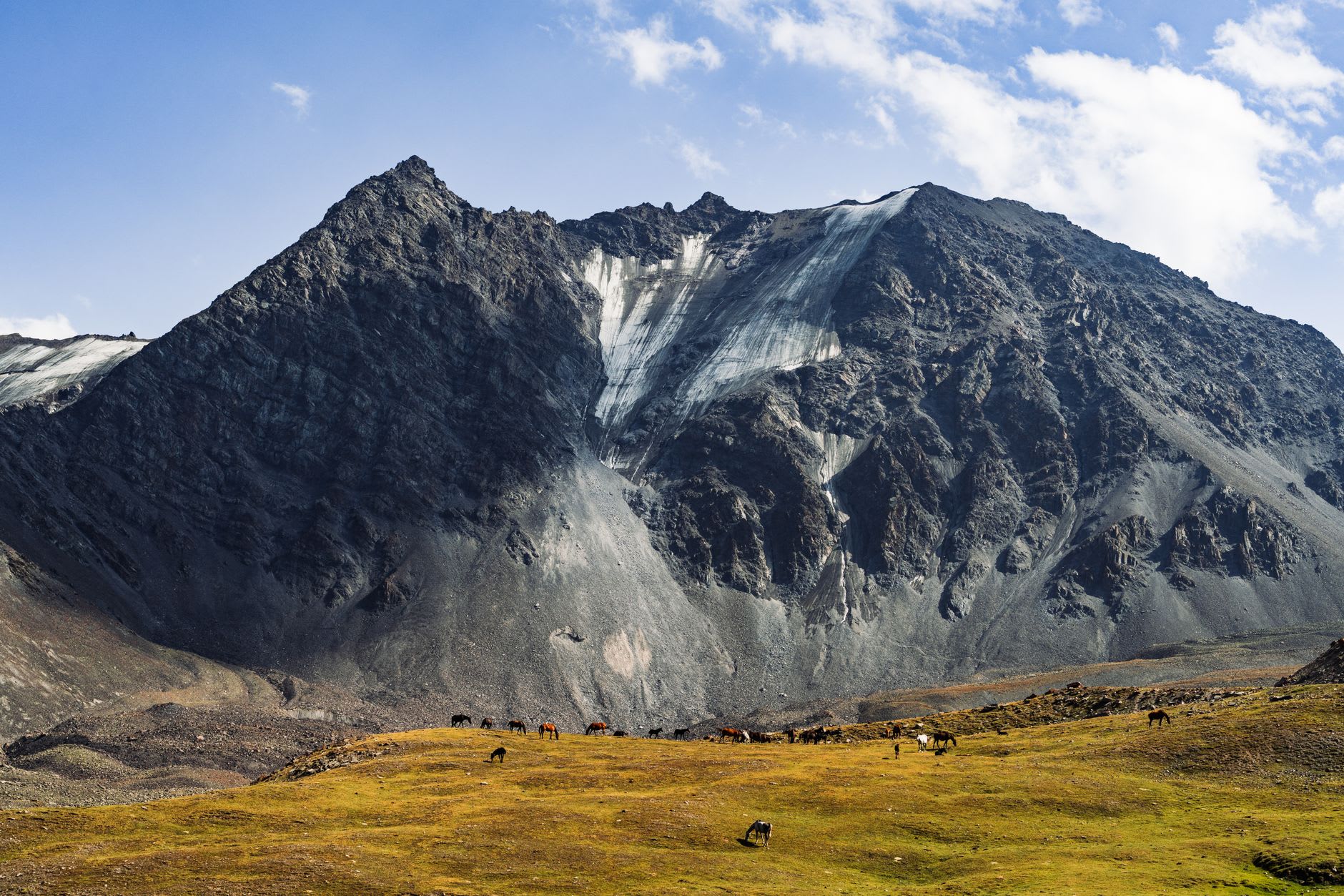 A horseman rides along the grassy shore of Song-Kul with the lake stretching wide behind him