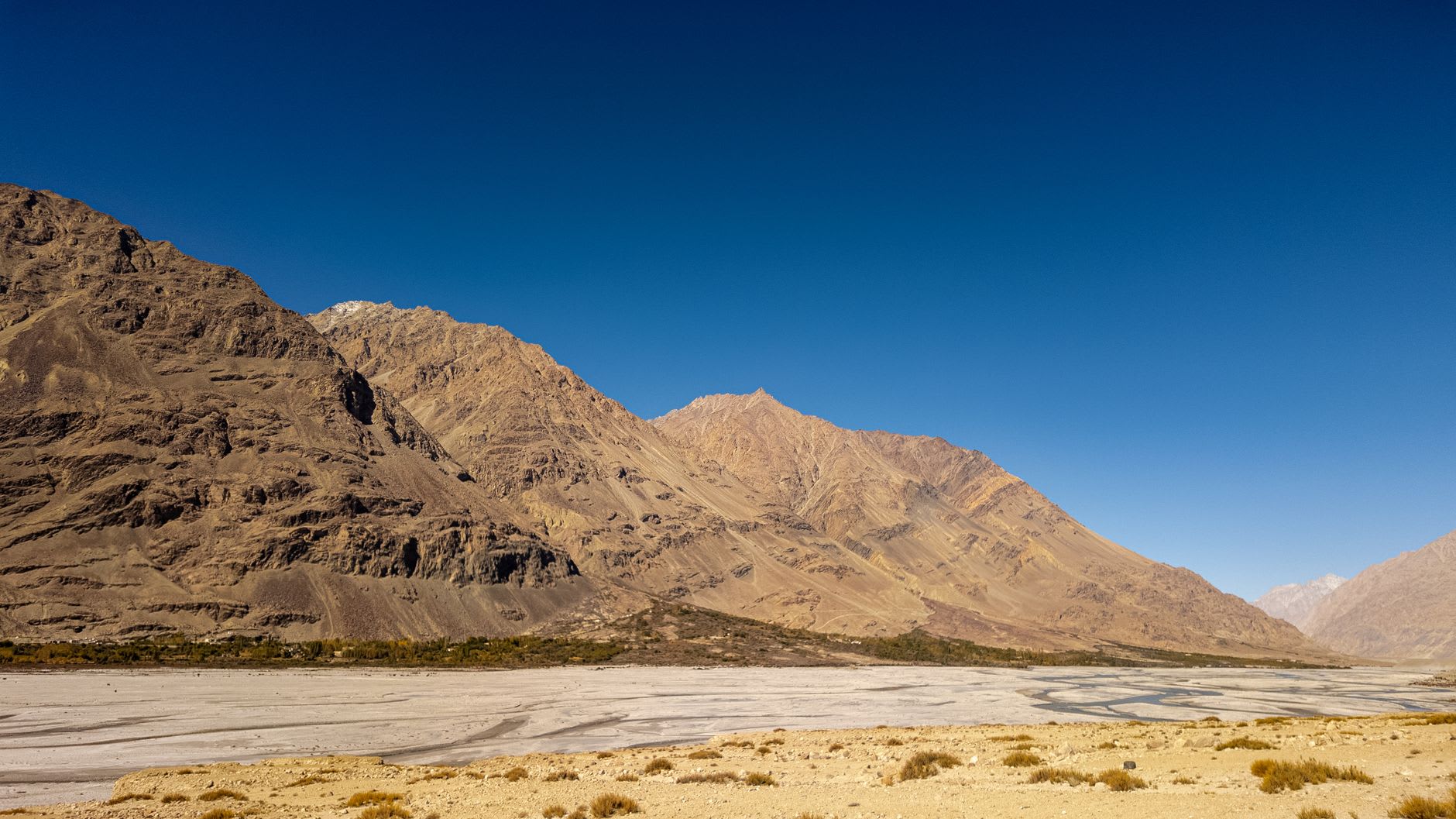 Sand dunes at Hunder with Bactrian camels in the foreground, the green ribbon of the Shyok river visible beyond