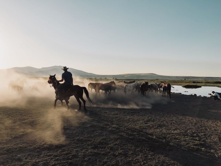 Un gaucho menant des chevaux le long du sentier boueux vers la vallée de Cochamó avec des sommets de granit visibles au loin