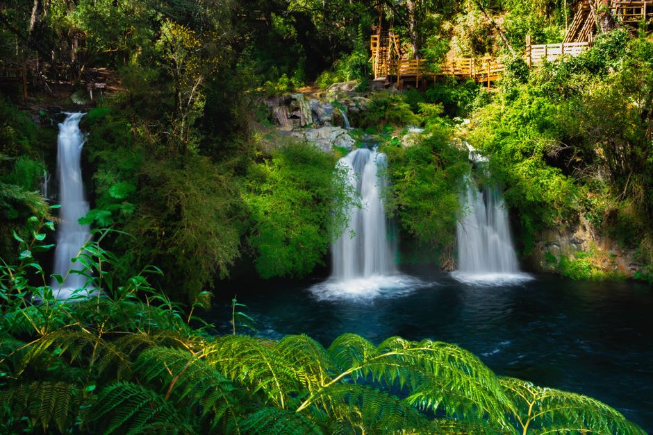 A short forest trail leading to the Salto del Indio waterfall inside Parque Nacional Puyehue