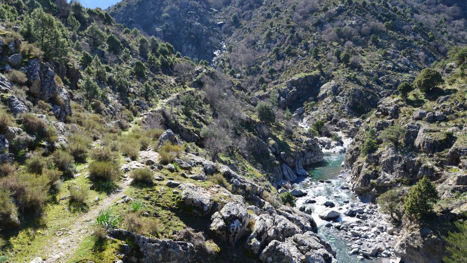 The trail through the Qadisha Valley floor alongside the river and terraced orchards
